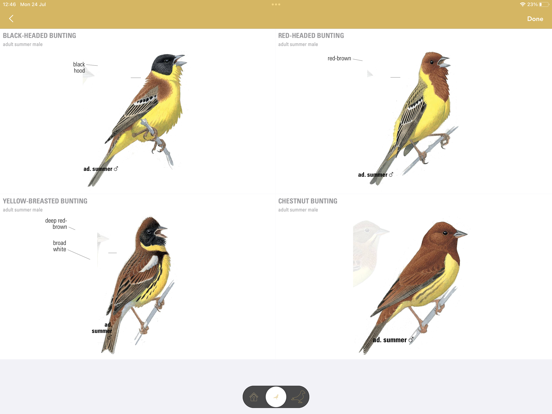 Collins Bird Guide iPad app afbeelding 4