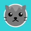 Pushy Cat: Boxed Up icon