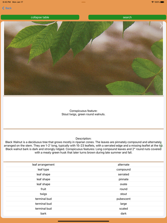TreeIDSmokies iPad screenshot 4 - Reference app