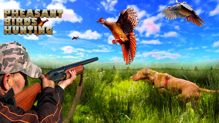 Pheasant Bird Hunting Game 3D