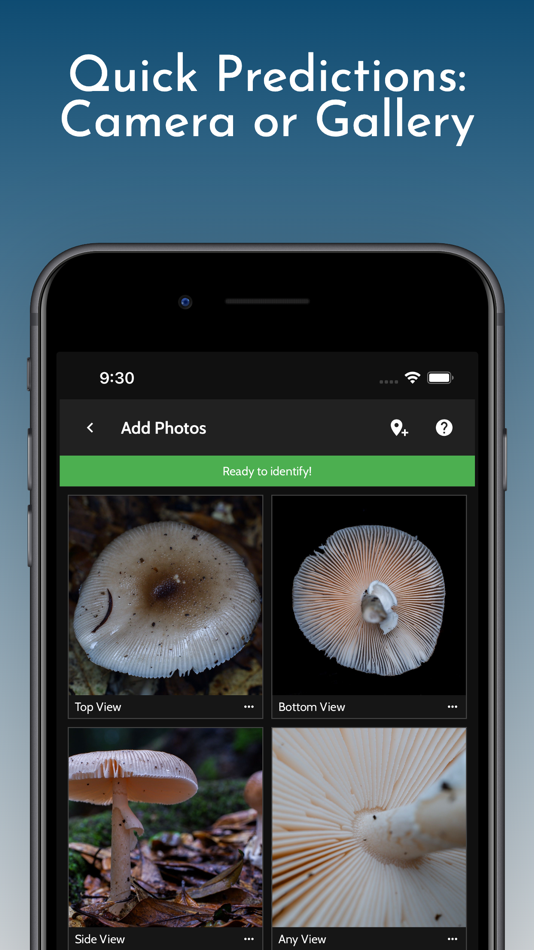 #3. ShroomID - Identify Mushrooms (iOS) 由: ZH Creations LLC