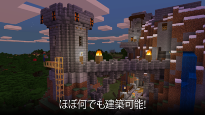 screenshot of Minecraft 2