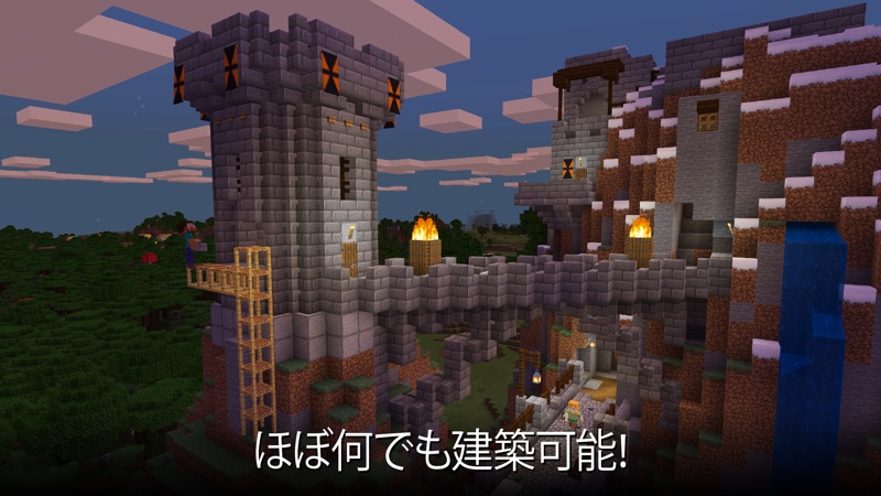 Minecraft: クラフト、建築、サバイバル screenshot 2