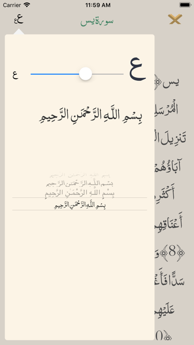 Screenshot #2 pour Quran | القرآن الكريم