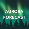 Mr. Poro - Arcticans Aurora Forecast アートワーク
