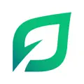 LendingTree Mortgage  More