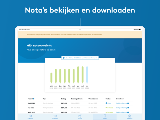 DELTA Energie iPad app afbeelding 3