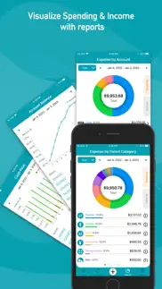 quick checkbook pro problems & solutions and troubleshooting guide - 4