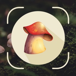 Mushrooms - Auto AI Identifier