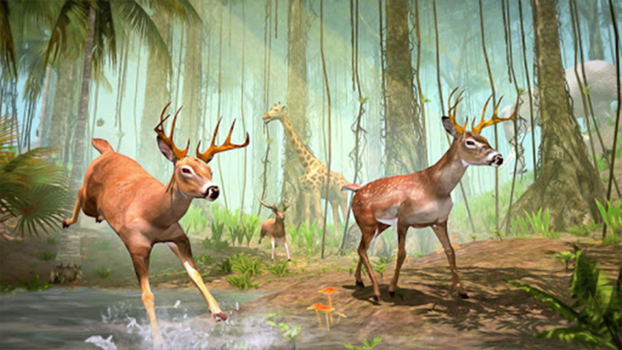 Hunting Clash Deer Calls Games