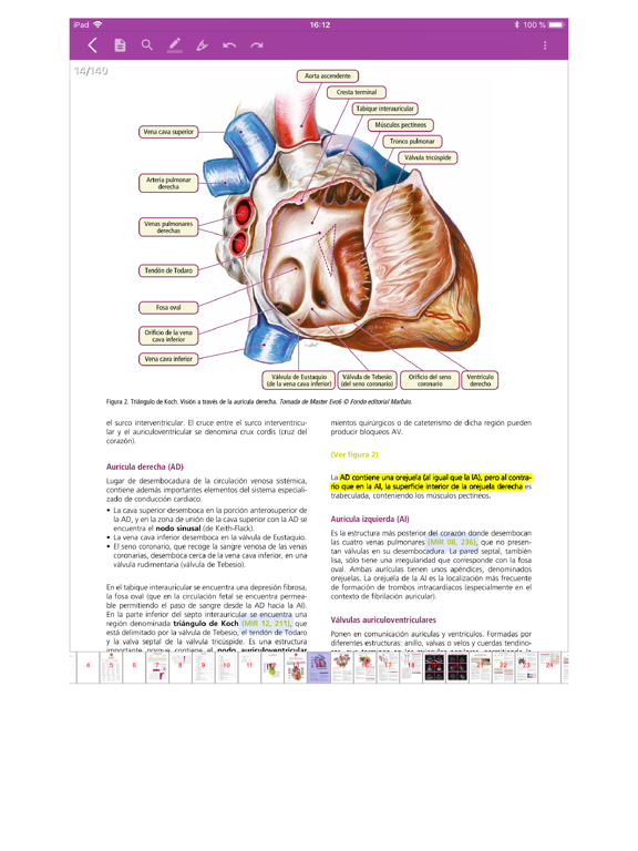 Screenshot #6 pour Manuales AMIR 2.0