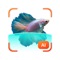 Icon Fish AI