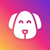 Dog Care Guide: Pup Tips & Fun - Bernardo Teodosio