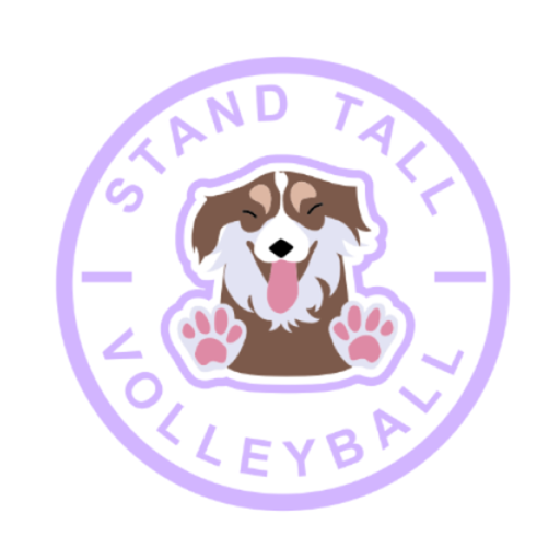 Stand Tall Volleyball