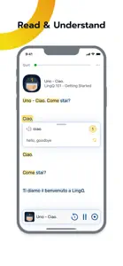 LingQ: Language Learning screenshot #4 for iPhone
