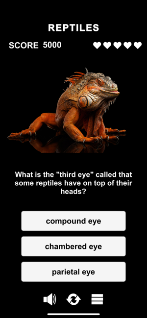 Animal Class Screenshot