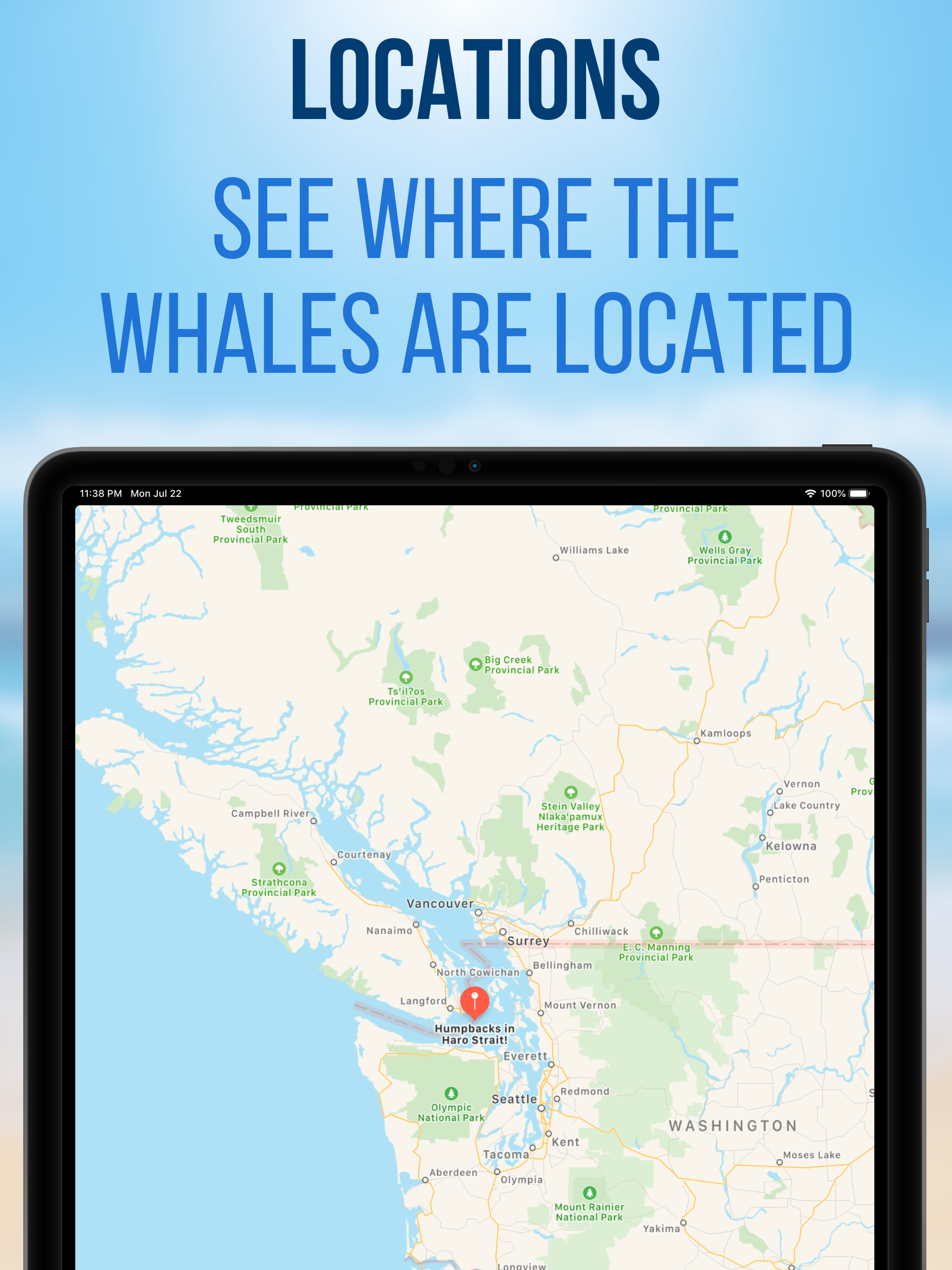 Whale Radio screenshot 10