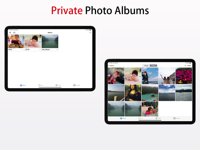 Pro Security Device Security