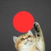 Classic Red Dot