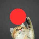 Classic Red Dot App Support