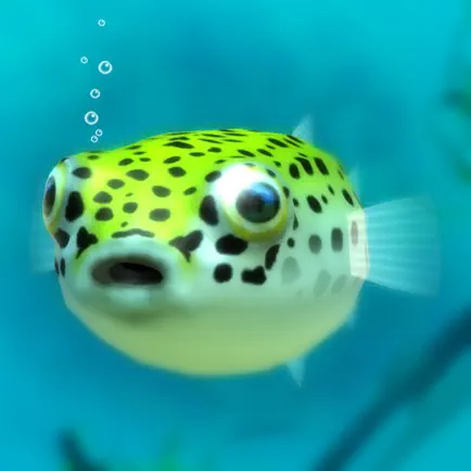 Playing with Puffer fish Cheats