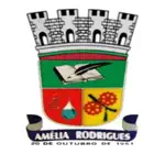 Câmara Amélia Rodrigues BA App Support