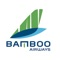 Icon Bamboo Airways