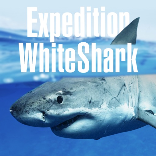 Expedition White Shark Icon