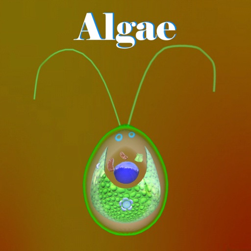 Learn Algae icon