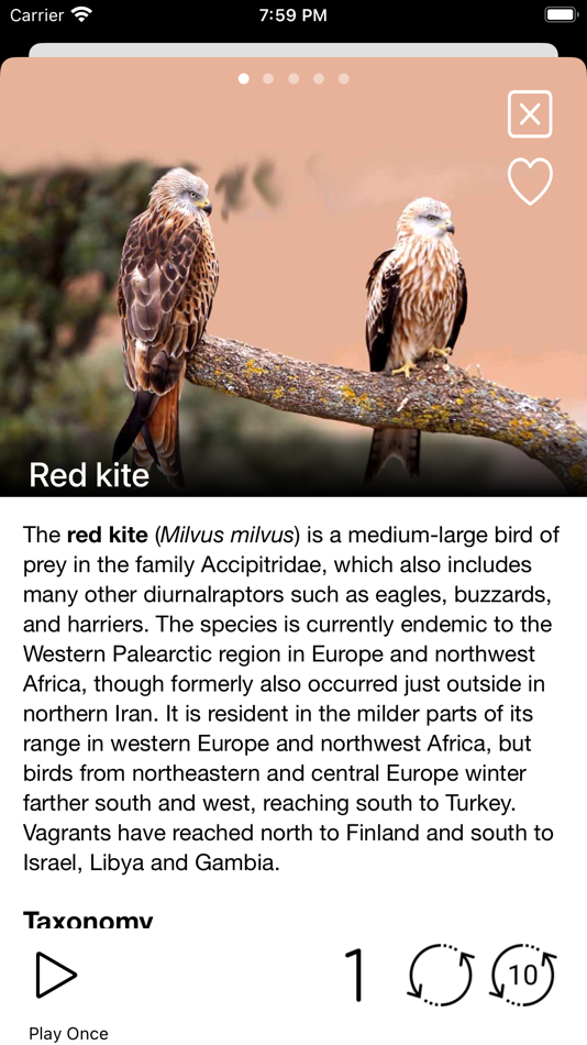 #8. Birds of Europe - Field Guide (iOS) 来自: Ecosystema