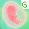 Icon Glow Nurture: AI Pregnancy App