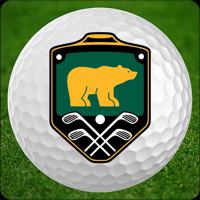 Bears Best - Atlanta