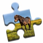 Download Pony Love Puzzle app