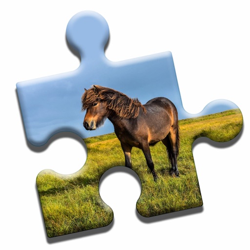 Pony Love Puzzle