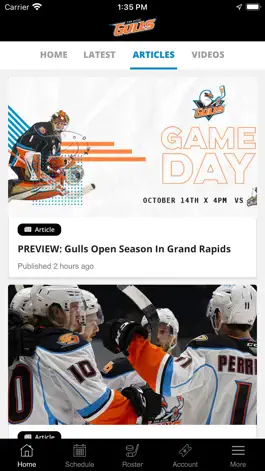 Game screenshot San Diego Gulls Hockey hack