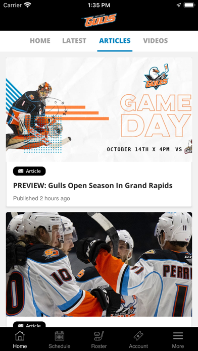 San Diego Gulls Hockey Screenshot