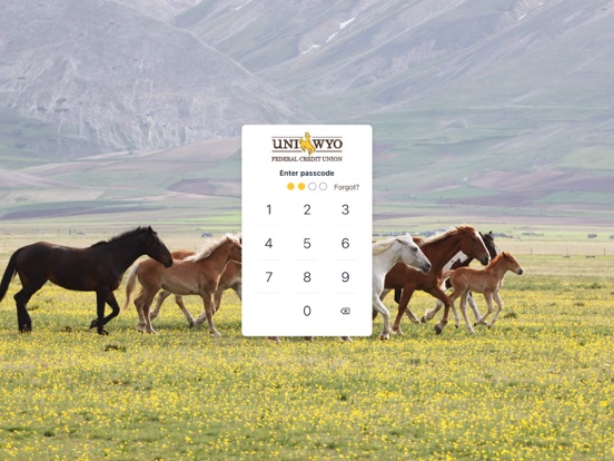 UniWyo Mobile Banking iPad screenshot 2 - Finance app