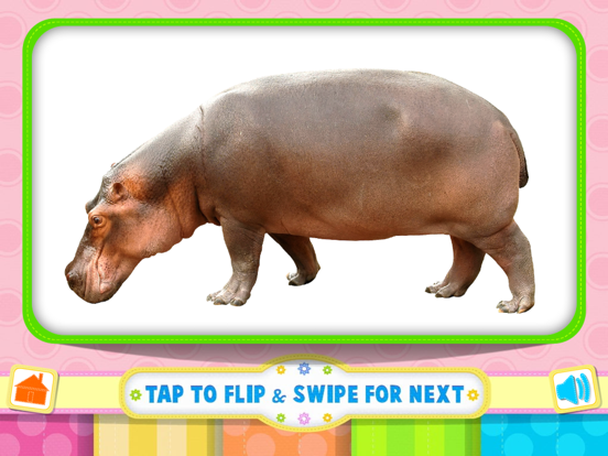 Screenshot #4 pour Tamizh Flash Cards - Animals