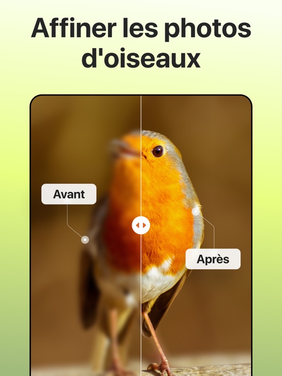 Screenshot #6 pour Picture Bird - Oiseaux ID