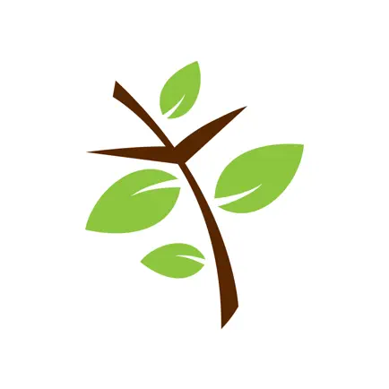 Lifehouse Community Church Читы