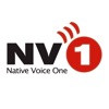 NV1 icon