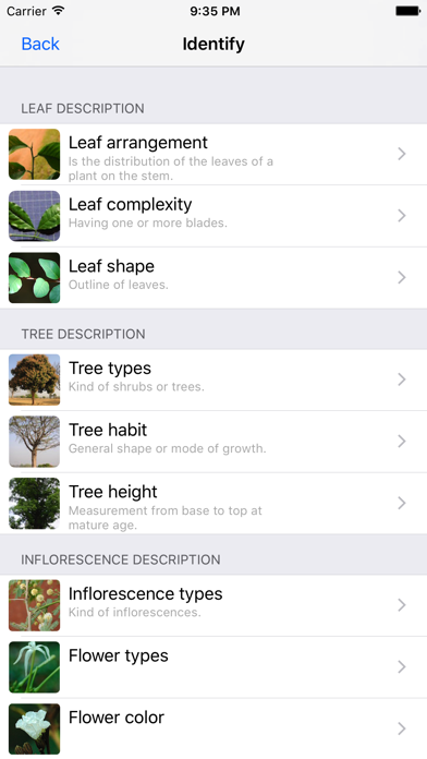 Useful Trees of East Africa Screenshot