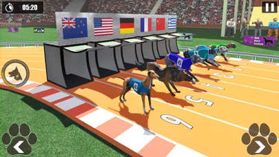 Dog Racing Championship Game Screenshot