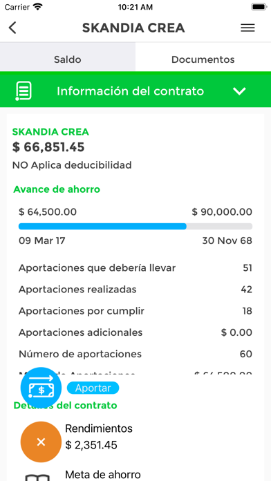 SKANDIA NET MX Screenshot