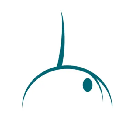 Pilates in Paradise Читы