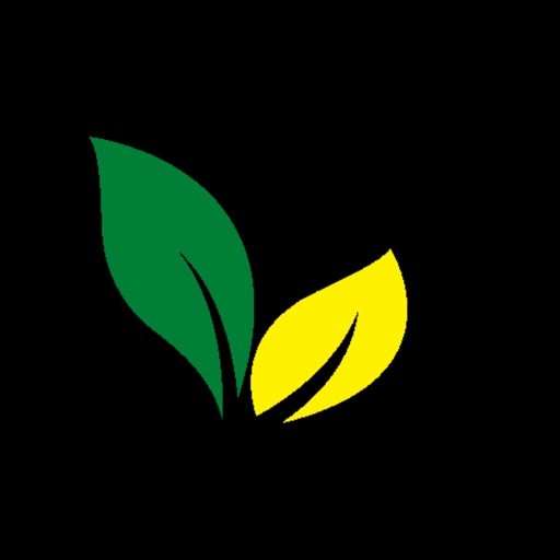 Mulika