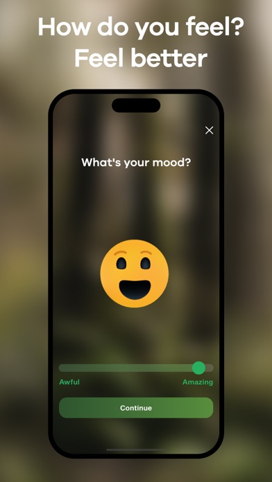 PeacefulAi: Wellbeing Coach Screenshot