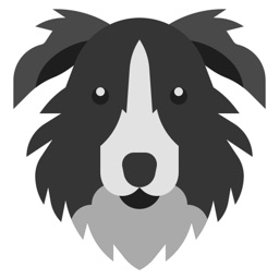 Border Collie Stickers