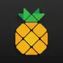 Pineapple - Website Builder