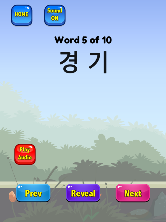 Korean Flashcards 2025 TOPIK iPad screenshot